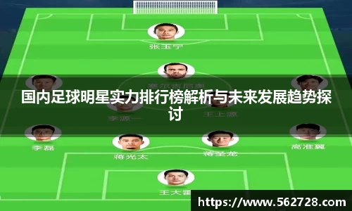 国内足球明星实力排行榜解析与未来发展趋势探讨